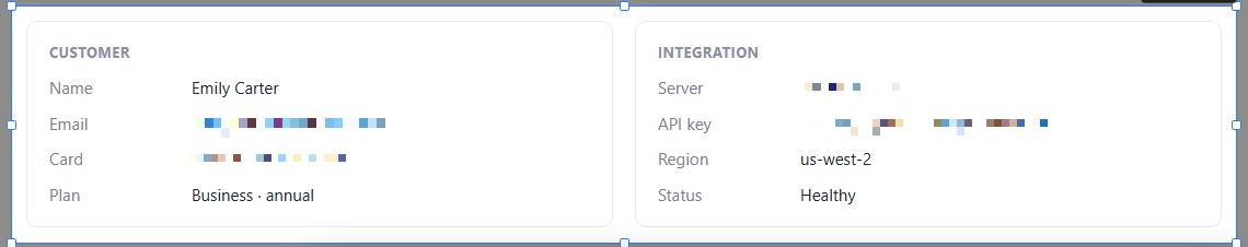 Customer and integration cards where the email, card number, server IP and API key are pixelated